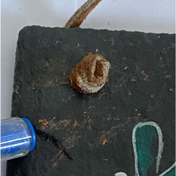 Vintage black slate wall art Herbs Hand Painted plaque set Sigrid Schmidt MCM - Picture 7 of 9